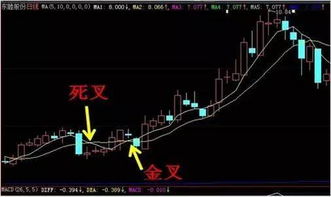 如何筛选年线上的股票
