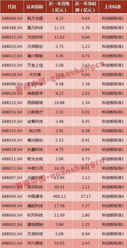 如何查看股票开市价值