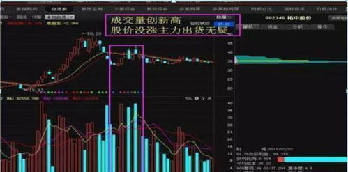如何看股票进出多少股