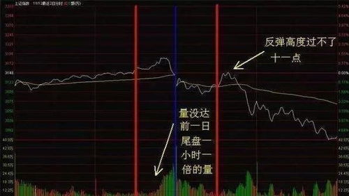 如何看股票进出多少股