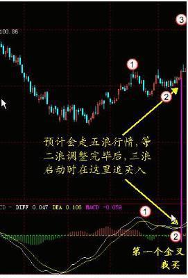 如何界定成长股票 如何界定成长股票