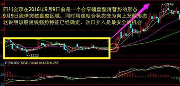 如何把握股票投资