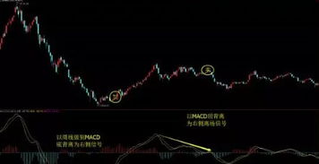 股票大跌如何发财