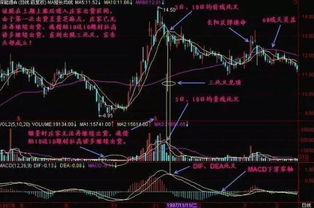 股票大跌如何发财