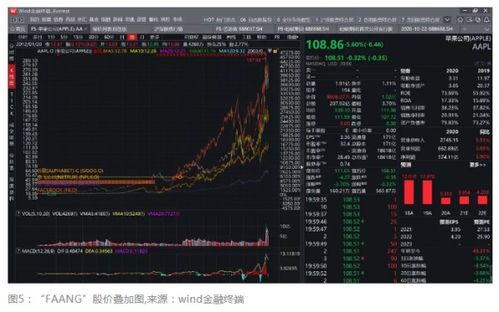 如何查找蚂蚁股票