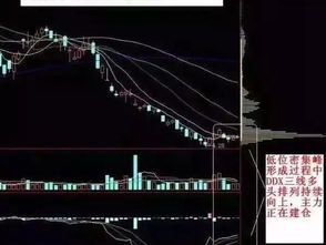 股票形态大师如何