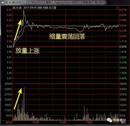 股票自由换手率如何看