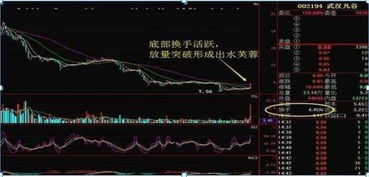 股票自由换手率如何看