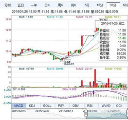 如何进行新股票申购新股