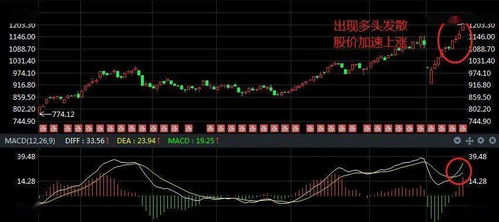 如何获得黑马股票