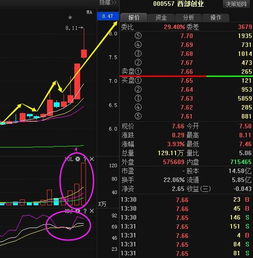 如何看新能源股票龙头
