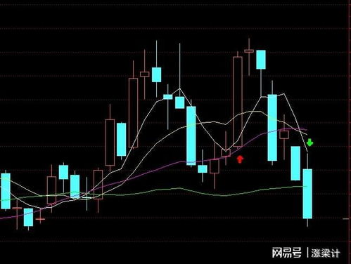 如何选择股票的龙头板块 如何选择股票的龙头板块