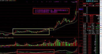 投资股票如何炒