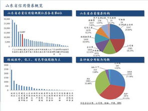 证券诚信记录怎么写