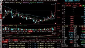 平板如何分屏看股票软件 平板如何分屏看股票软件