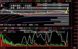 如何在股票池里选股票 如何在股票池里选股票
