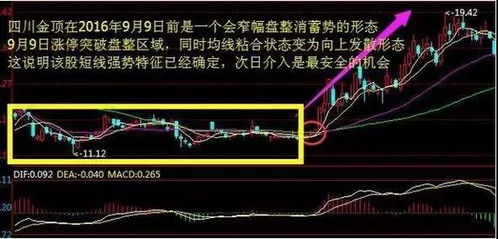 股票中如何找龙头股票