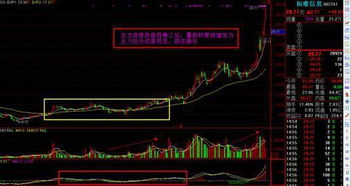 如何看股票主力成本