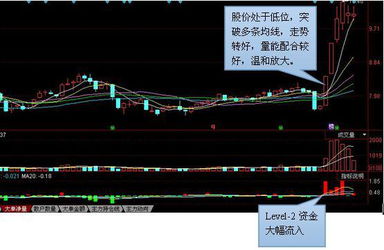 如何对待涨停的股票