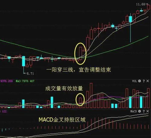 股票如何去挖掘