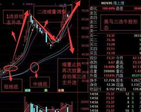 股票后期如何调整收益