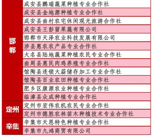农村合作社股票如何计算