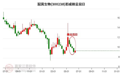 股票300238如何