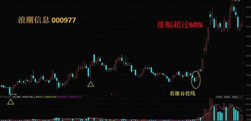如何养出一支优秀的股票