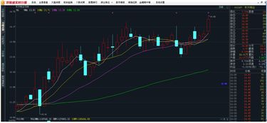 公司如何向股东投资股票 公司如何向股东投资股票