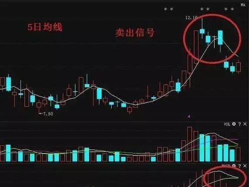 如何看懂股票交易单元
