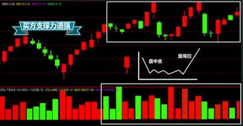 如何看懂股票交易单元