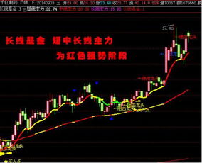 如何找股票最快赚钱