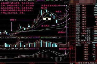新经典回购股票如何操作