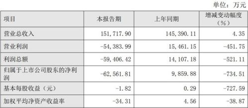 开元证券怎么查股票