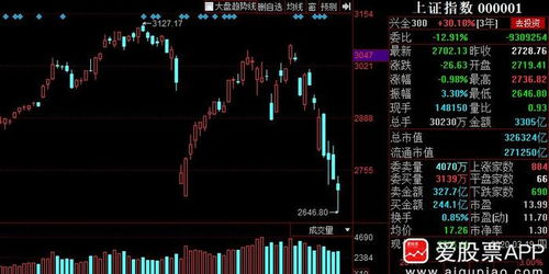 如何把股票导入股票池中