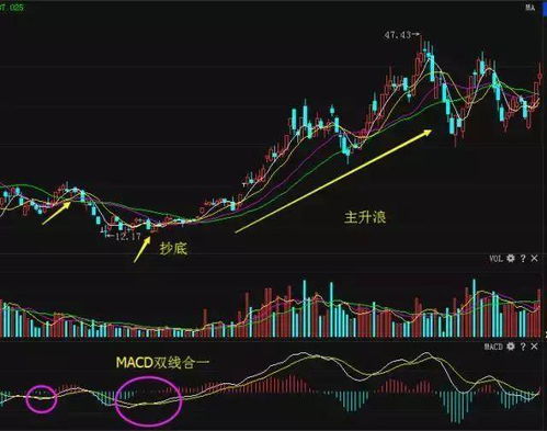 股票公式里面如何选股