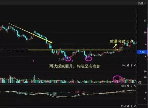 熊市如何获利股票
