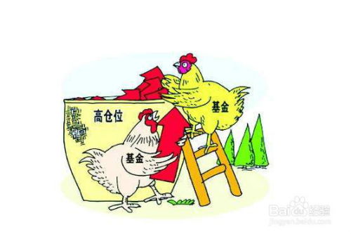 现代人如何选择股票基金