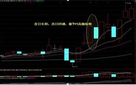 股票分红如何确定收益