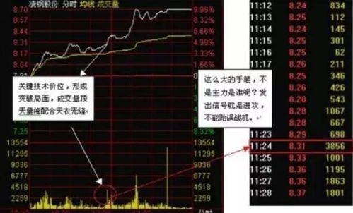股票如何去操作