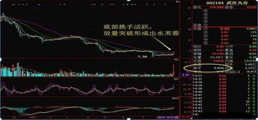 买股票后果如何知乎