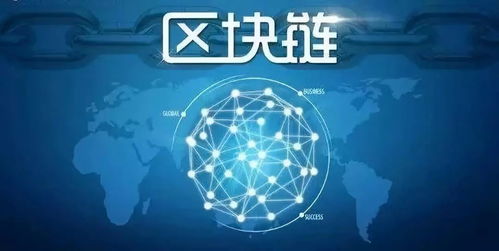 宠物证券化怎么用
