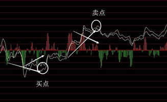 新手如何学炒股票 新手如何学炒股票