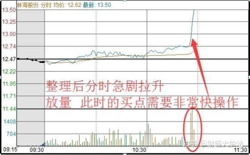 如何查看股票持有多少天