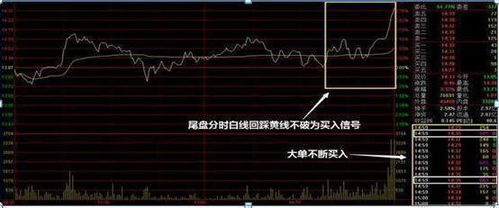如何判断股票信息真实性