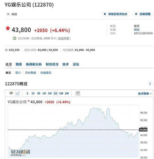 如何查看yg股票