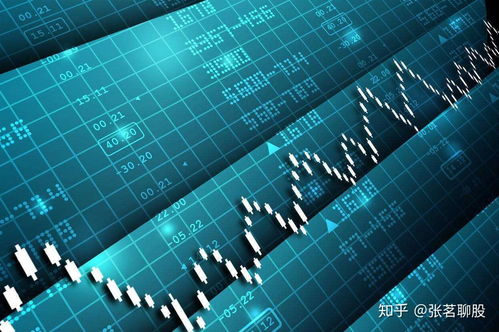 新手如何选第一只股票