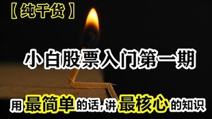 新手如何选第一只股票