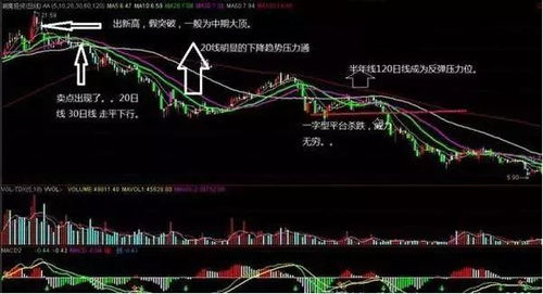 如何选股票和建仓的股票