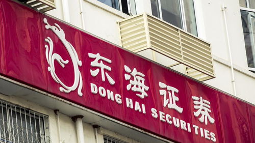 东海证券大连怎么样